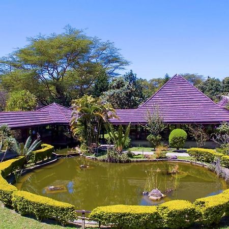 Lake Naivasha Simba Lodge Nairobi Extérieur photo